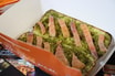 Crostini with Pesto Sauce & Smoked Salmon